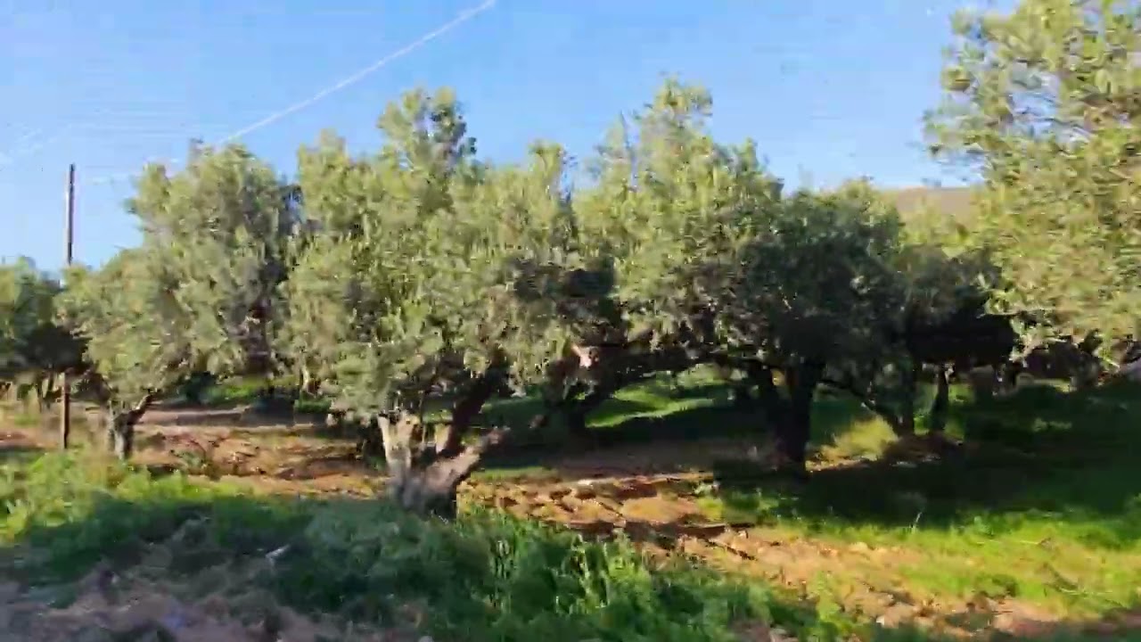 The Forgotten Port of Ancient Falasarna 🚗🏛️ | A Road into Crete’s Hidden Past #falasarna #creta #4k