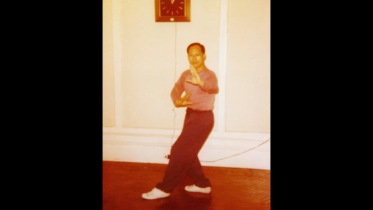 Single Palm Change from Yin Fu Ba Gua Zhang