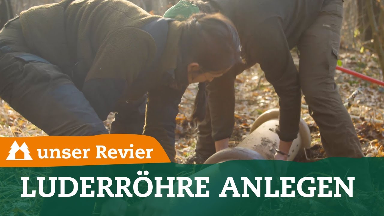 Erfolgreiche Fuchsjagd mit der Luderröhre | Raubwildjagd | Lockjagd | unser Revier | #42