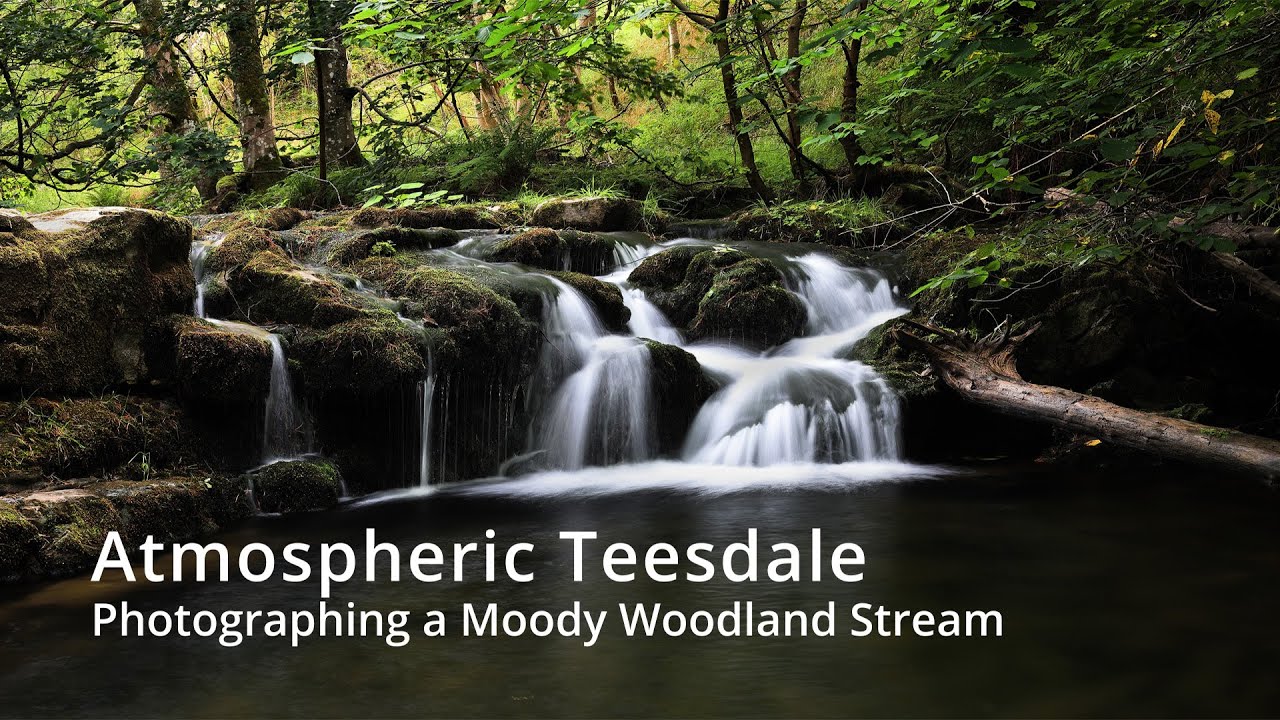 Photographing a Moody Woodland Stream in Teesdale
