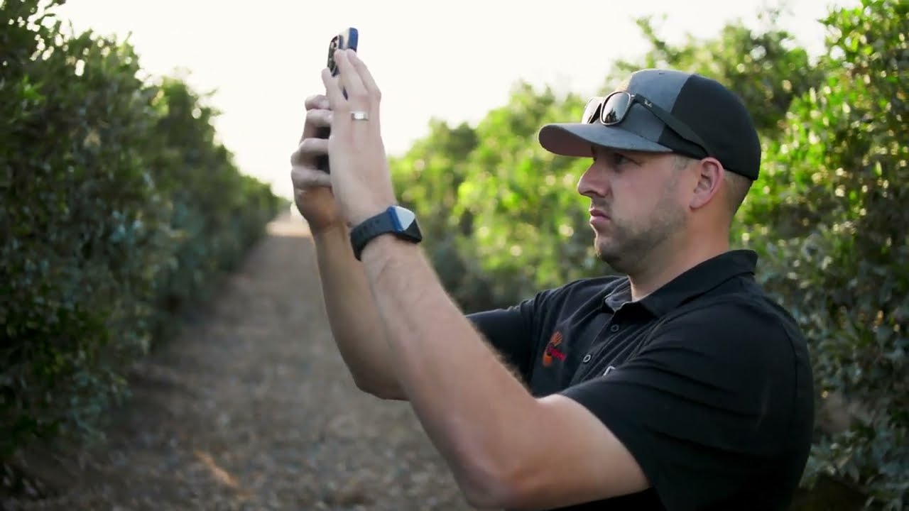 How AC Foods uses TrueFruit to Track Growth Curves Throughout the Season