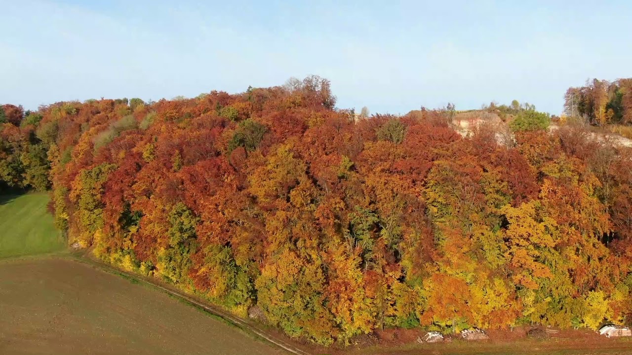 Herbst Impressionen, autumn impressions, Drone Drohne Dji Zoom Mavic 2 footage
