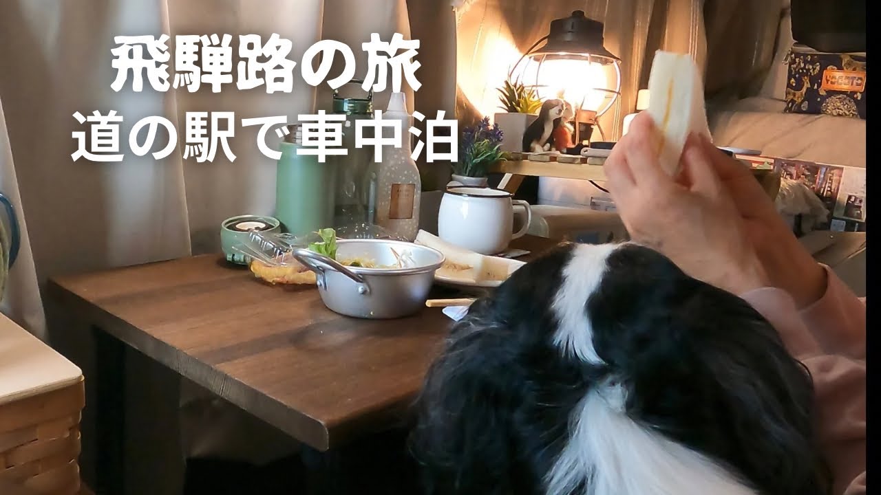 飛騨路の旅の途中、道の駅で犬と車中泊 / アルプ飛騨古川