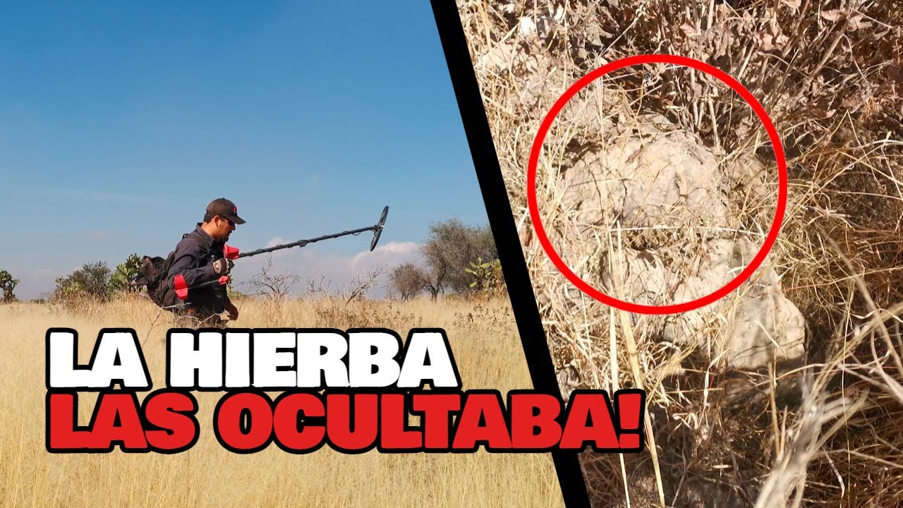 OCULTA Bajo la Hierba Encontré Hallazgos Antiguos! SORTEO