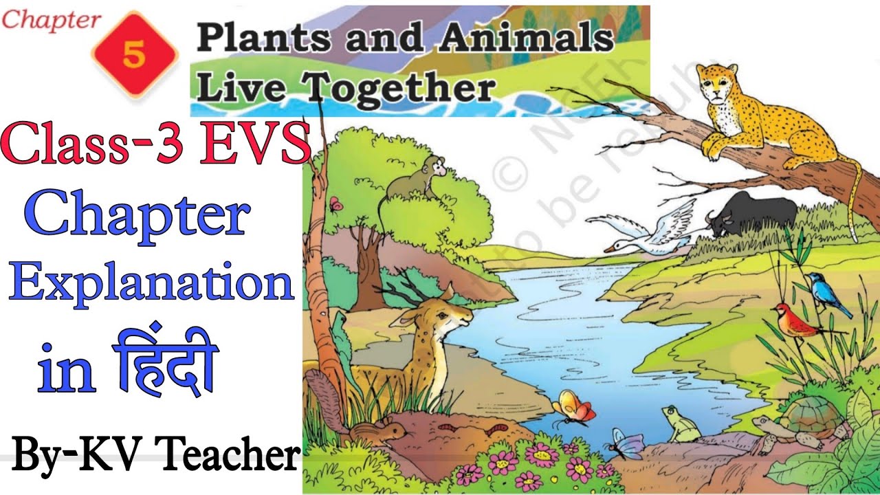 Plants and Animals live together / Class-3 EVS TWAU New NCERT Chapter-4 हिंदी Explanation KV Teacher
