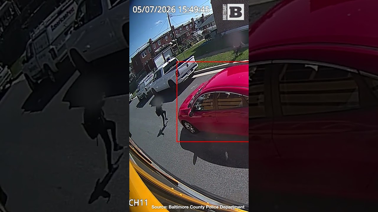 Honda Driver Ignores Bus Stop Sign, Nearly Hits Girl Crossing the Road