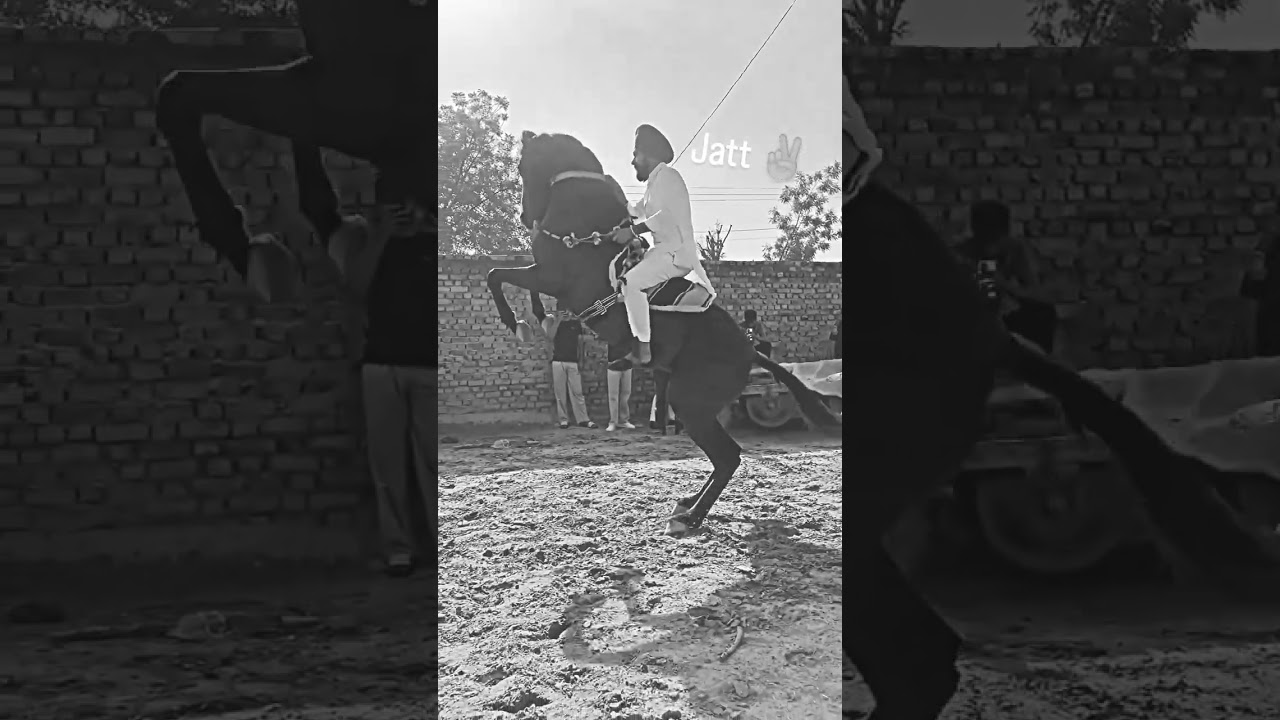 waaka song new Punjabi song jatt Punjabi status jatt attitude shayari status #punjabishayari #viral