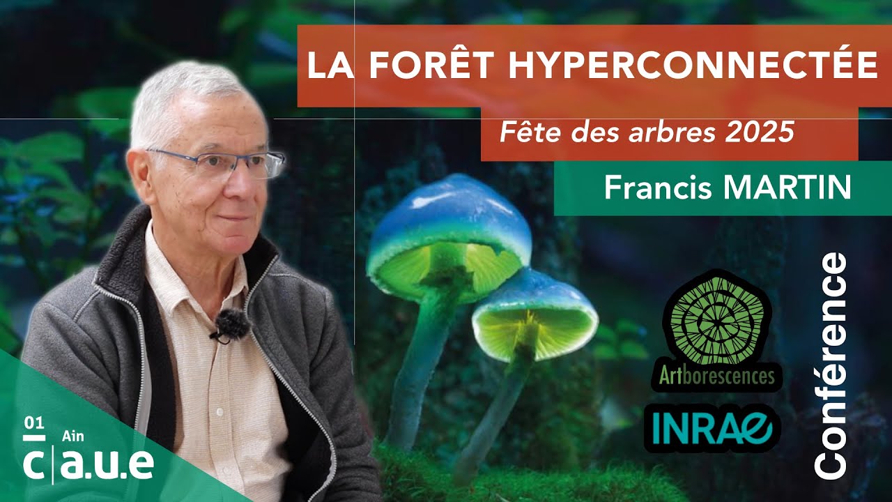 LA FORÊT HYPERCONNECTÉE - Conférence de Francis MARTIN