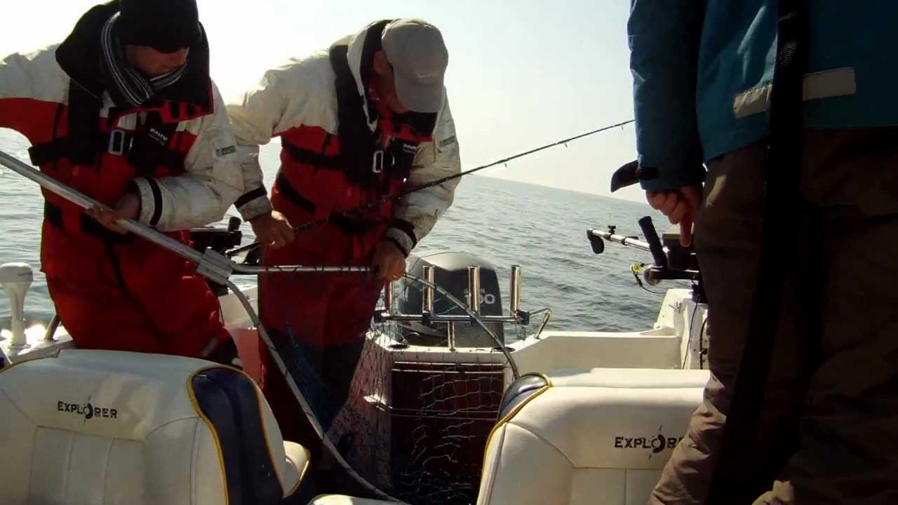 Lakse trolling - Team NO-Luck 2012, Salmon trolling Baltic Sea spring 2012