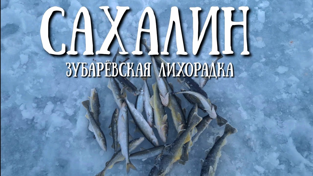 Сахалин - зубарёвская лихорадка началась  Стародубское #сахалин #fishing #зима #рыбалка #море 