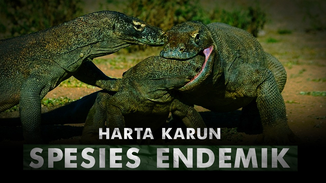 Tempat Spesies Berevolusi Akibat Terisolasi | Kepulauan Wallacea