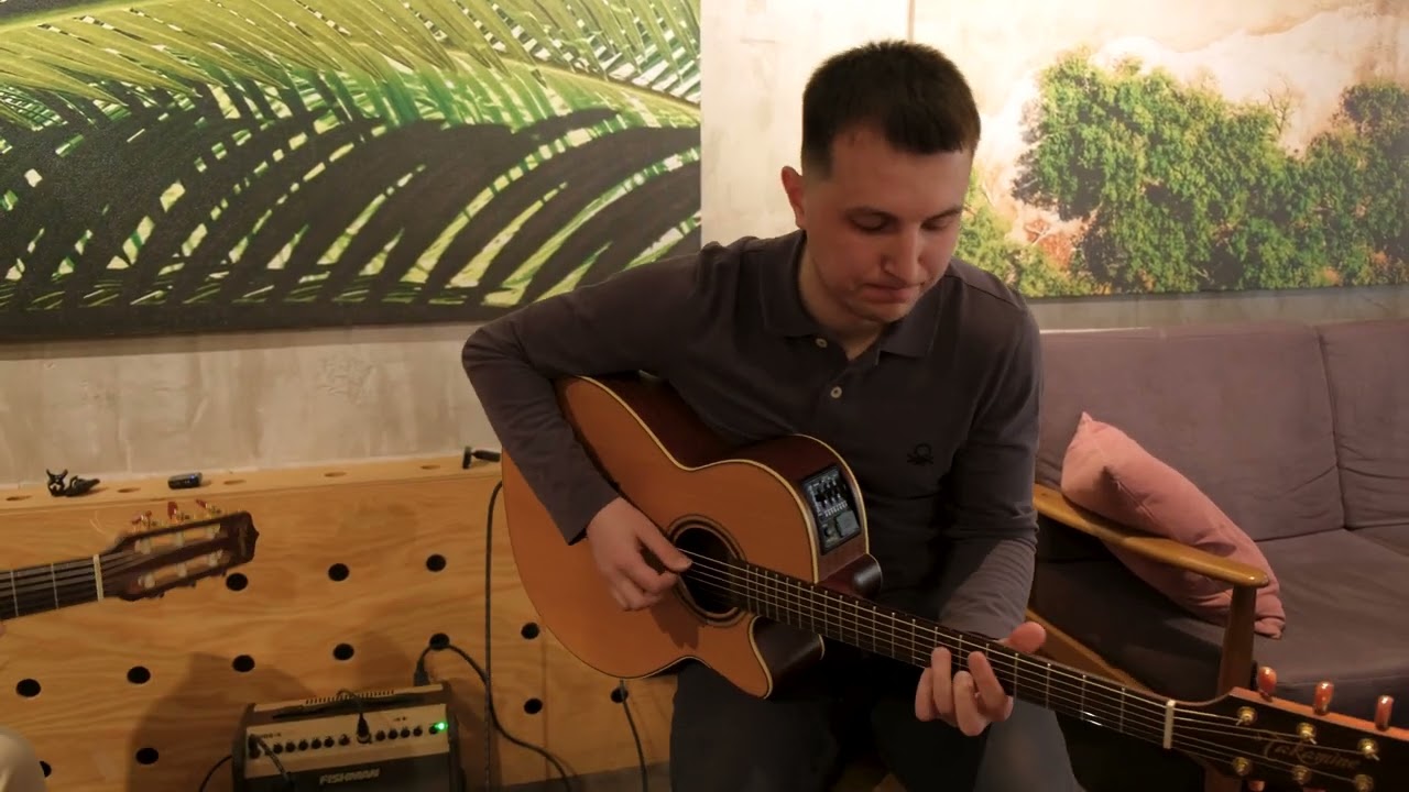 Bossa Dorado, эндорсим гитары Takamine - Александр Фролов и Андрей Лапицкий