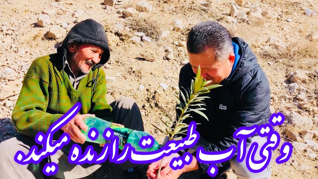 بازدید راجا آصف از بند آب میچید در کوه هزاره‌تاون | نقش بند آب در حفظ جنگلات و حیات وحش چیلتن پارک.