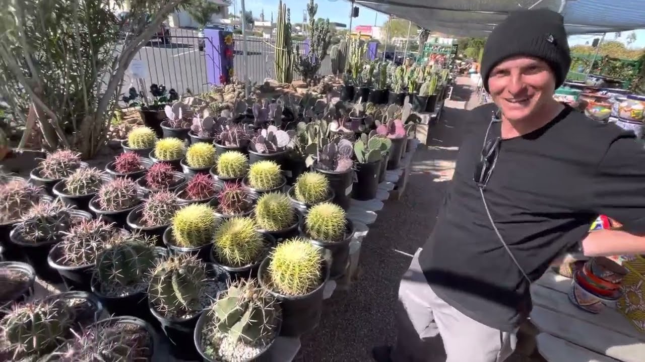 Rob The Cactus Expert  | The Barrel Cactus Section