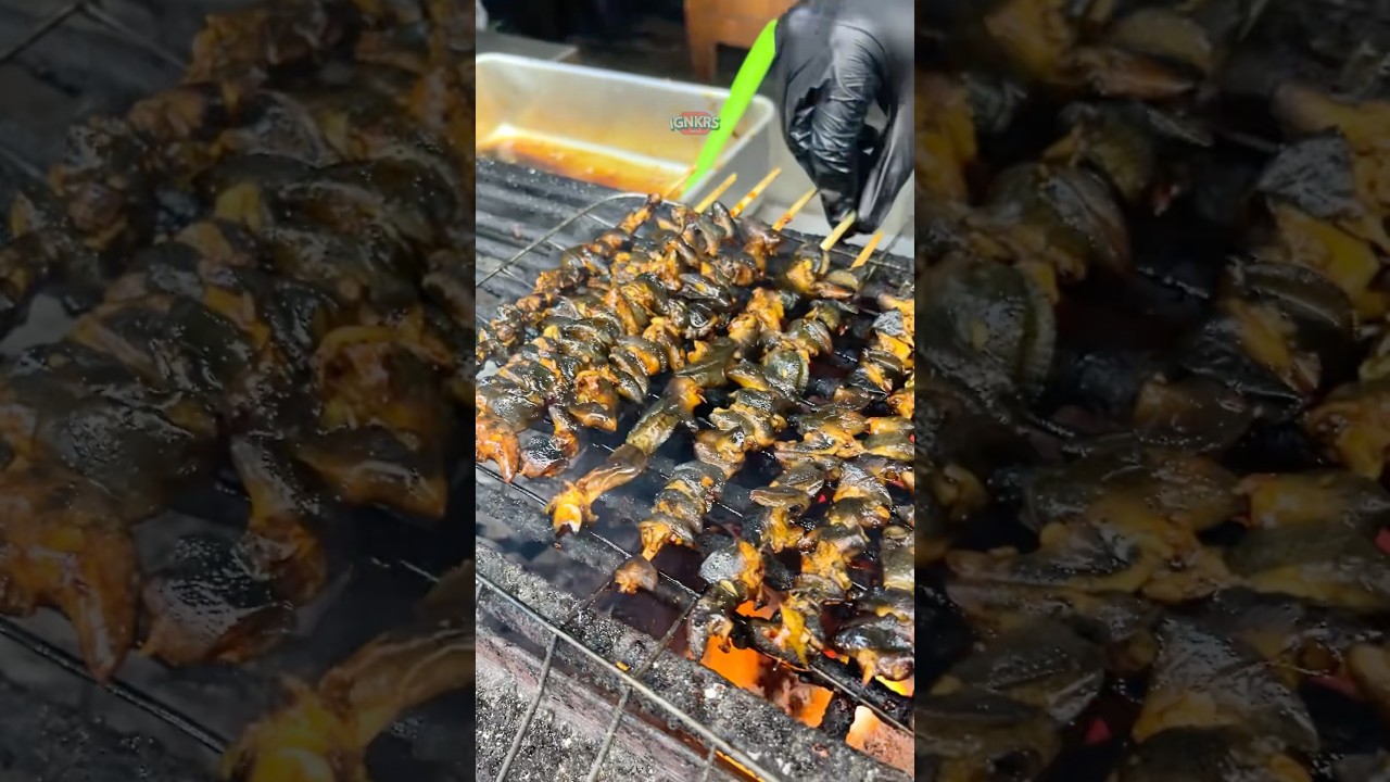 SIAPA YANG DOYAN SATE BEKICOT?
