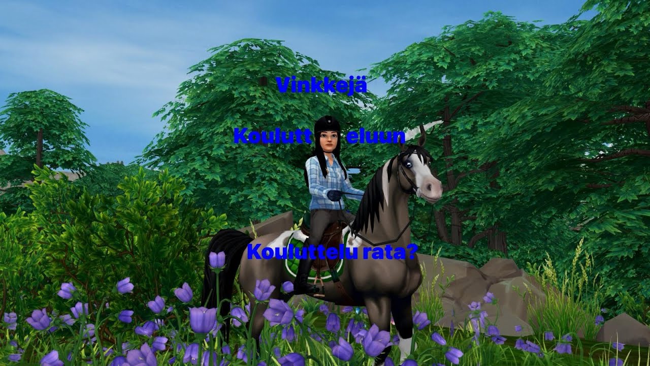 Vinkkejä koulutteluun SSO / #sso #starstable #suomi #starstableonline #pelivideot