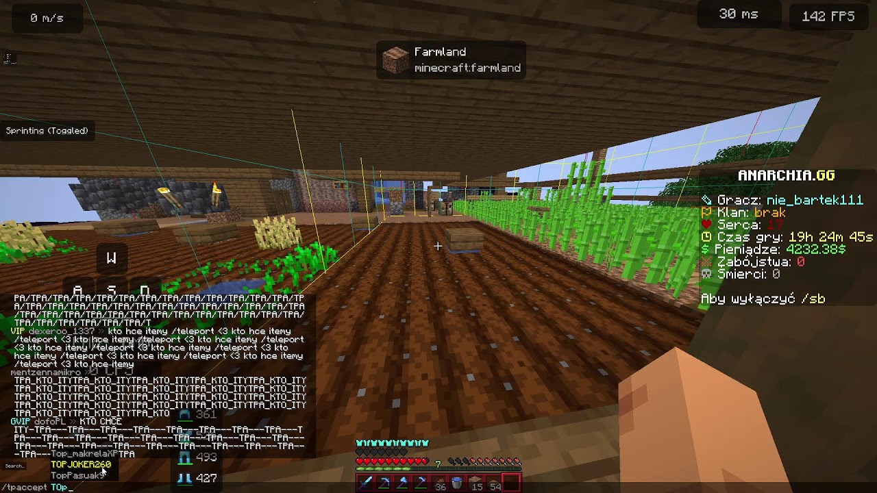 gramy na anarchi.gg