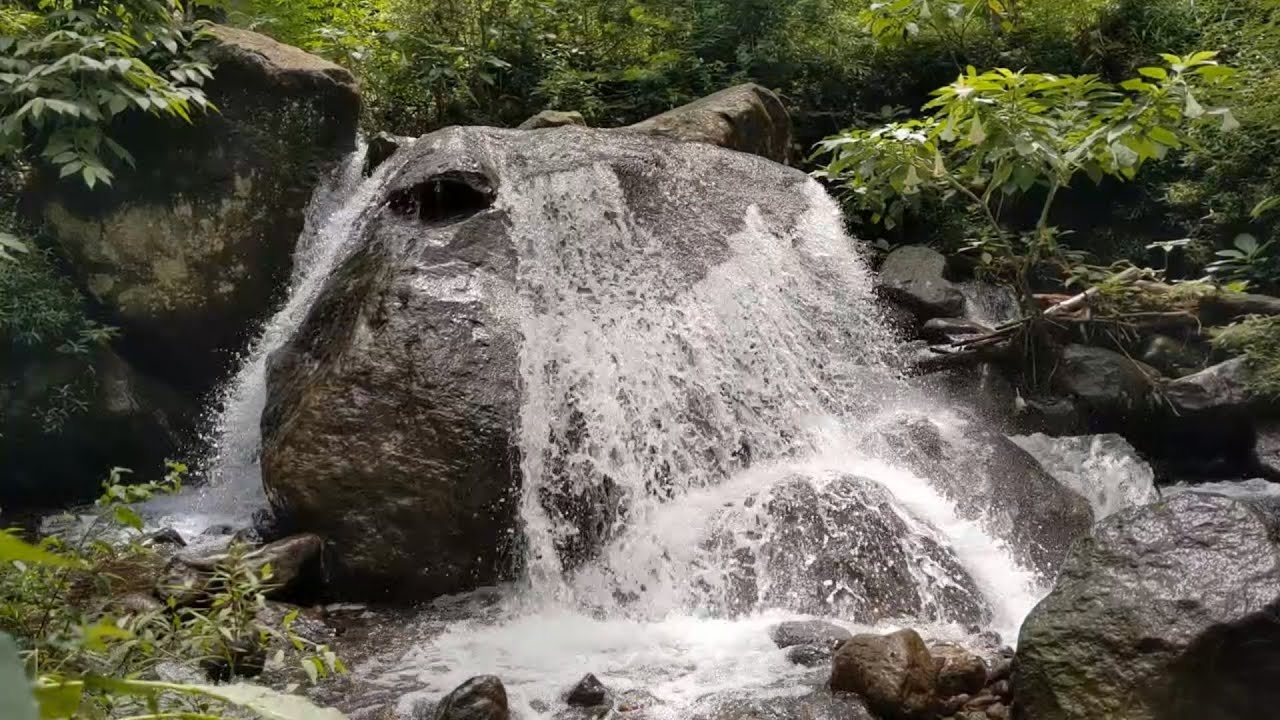Gentle Riverside Ambience with Forest Birds – Calming Water Sounds for Stress Relief