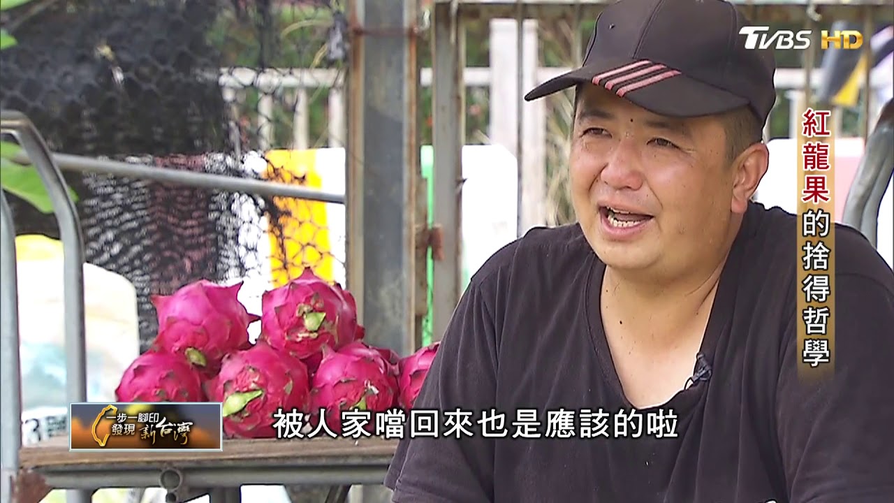 紅龍果的捨得哲學 一步一腳印 20180826