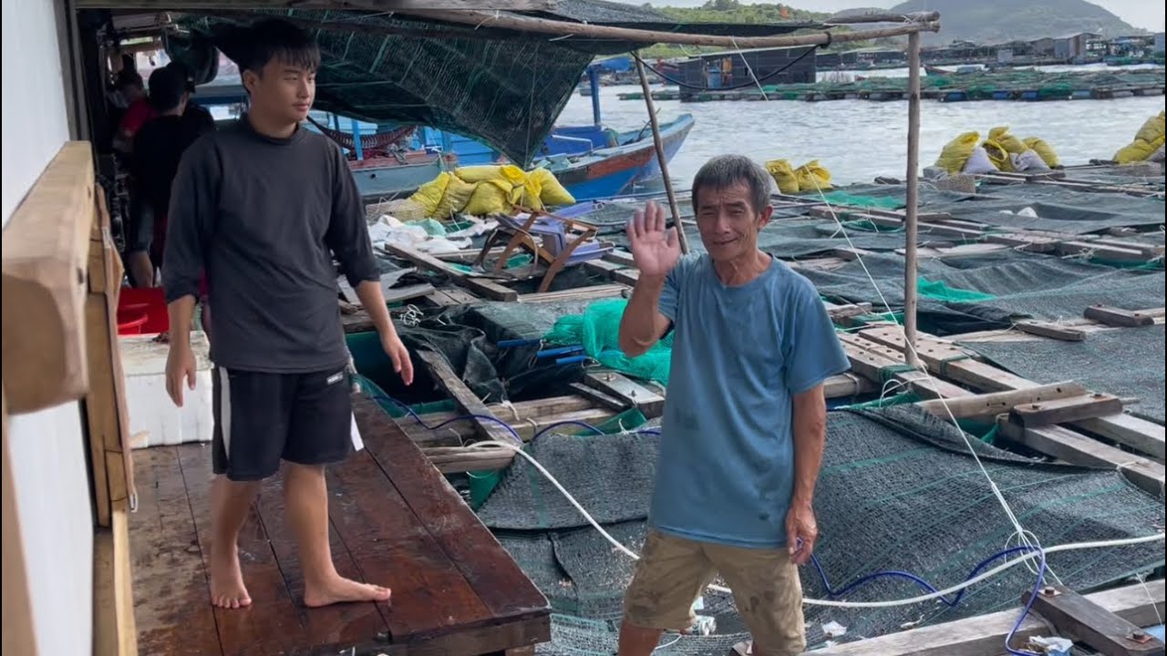 Hôm Nay Ba Cha Con Dạy Sớm Ra Bè Bắt Tôm Hùm Cho Người Ta