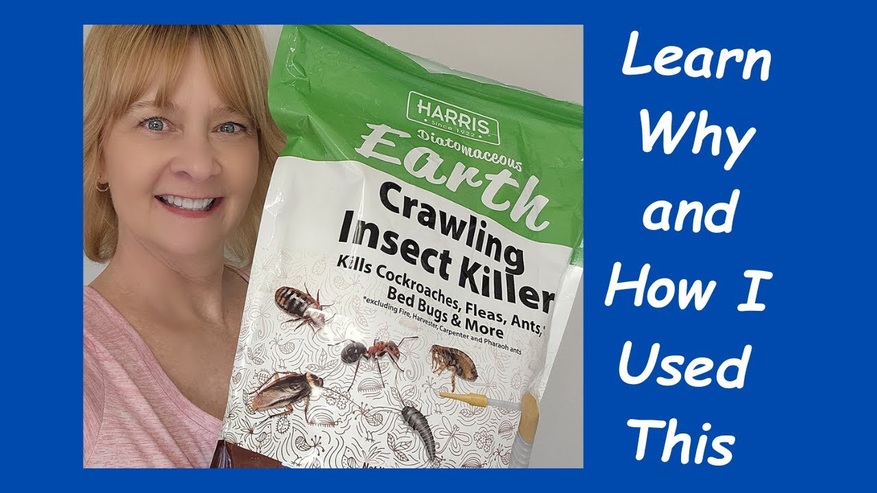 Diatomaceous Earth Insect Killer - See How It Works