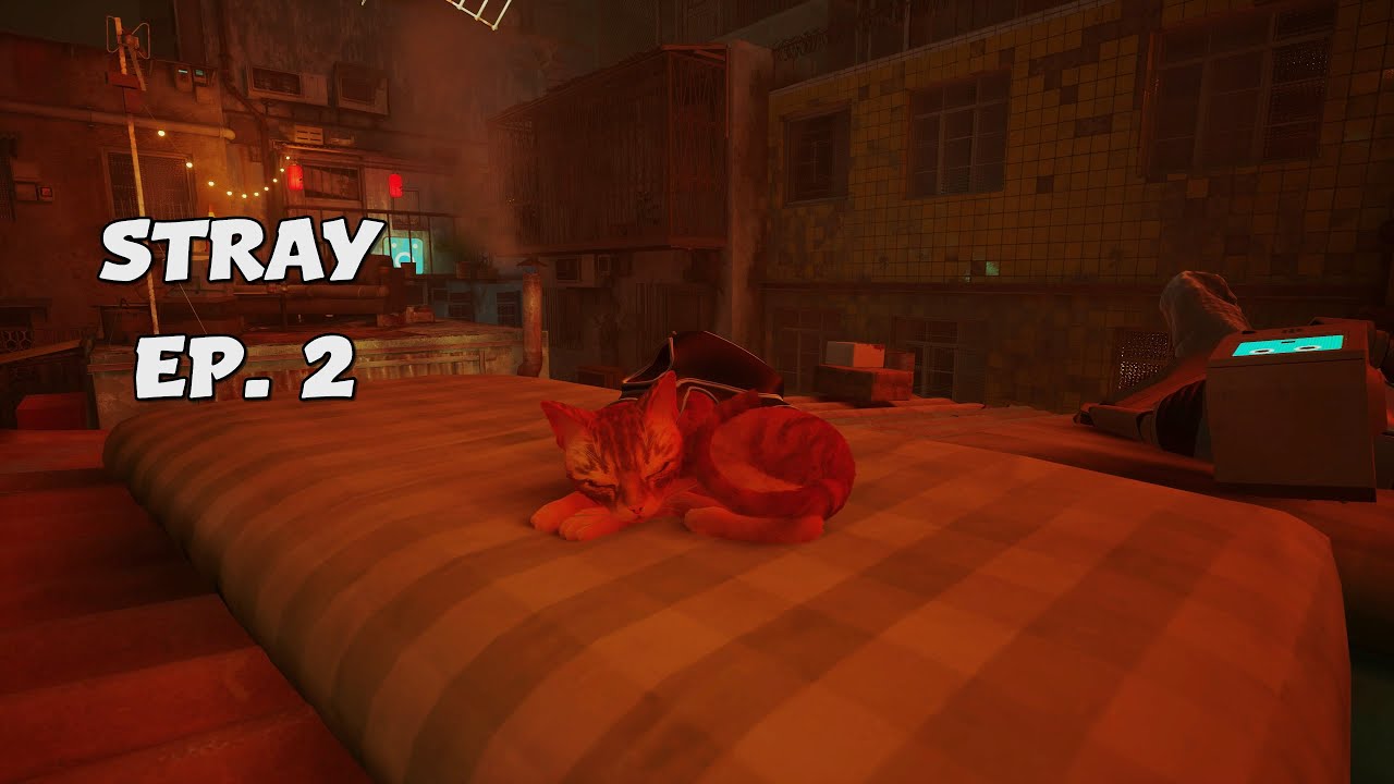 I don't think the Zurks like me... | Stray Ep. 2