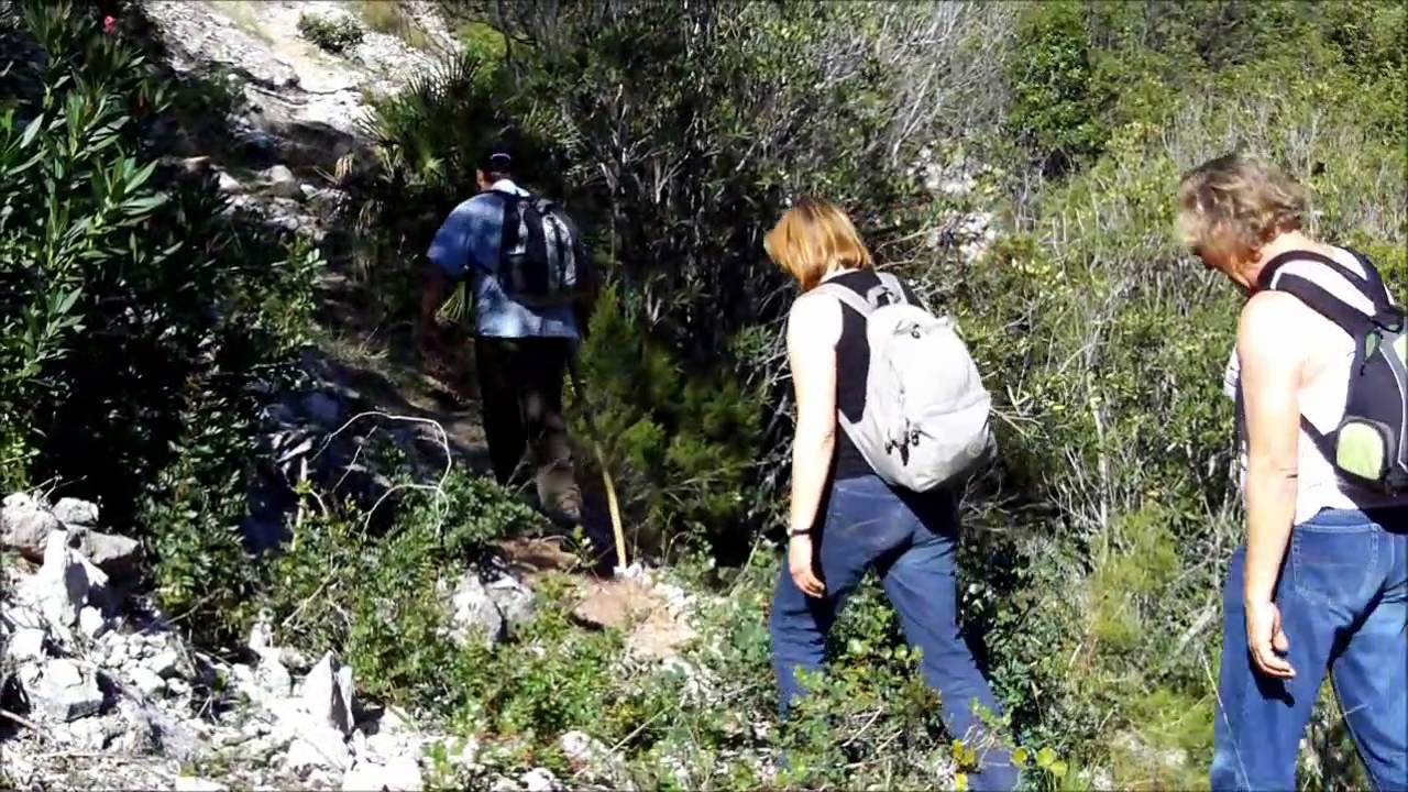El Colmenar - Estacion de Cortes de la Frontera walk