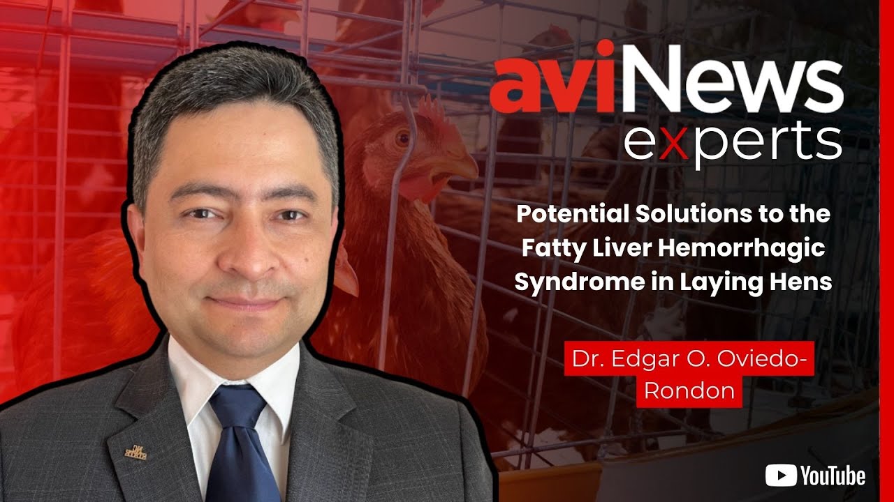 Interview Edgar Oviedo: “Potential Solutions to the Fatty Liver Hemorrhagic Syndrome in Laying Hens”
