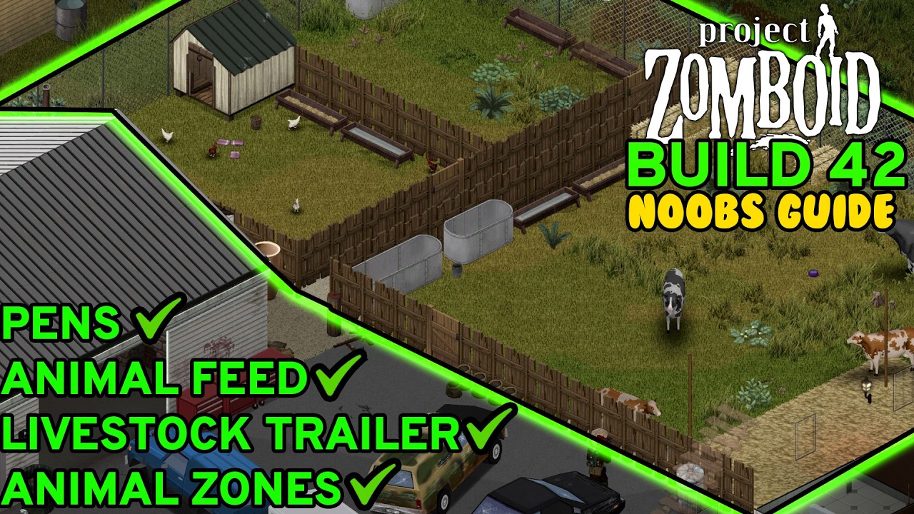 How To FIND & CARE For Animals In Project Zomboid Build 42 Noobs Guide | Week 5