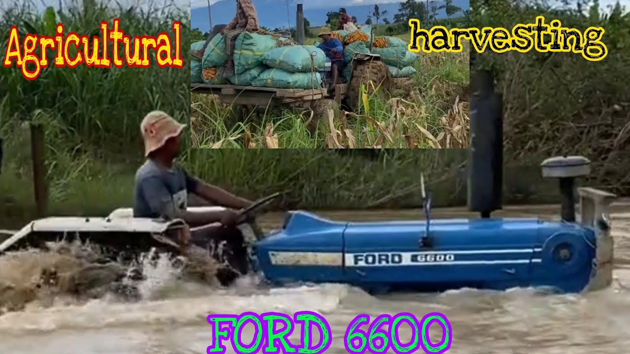FORD 6600 Agricultural harvesting