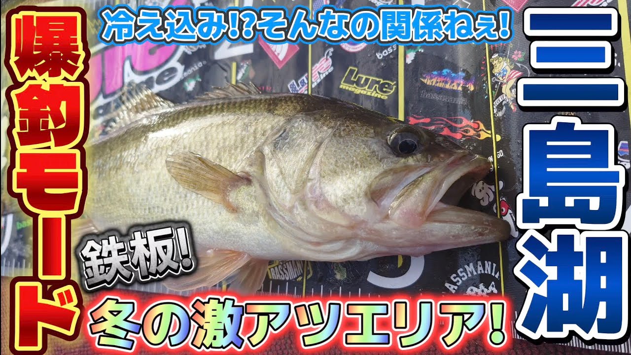 【三島湖】冬？いやいや釣れます！オススメの釣り方とエリア！#ベローズギル #hpシャッドテール 【三島ダム】