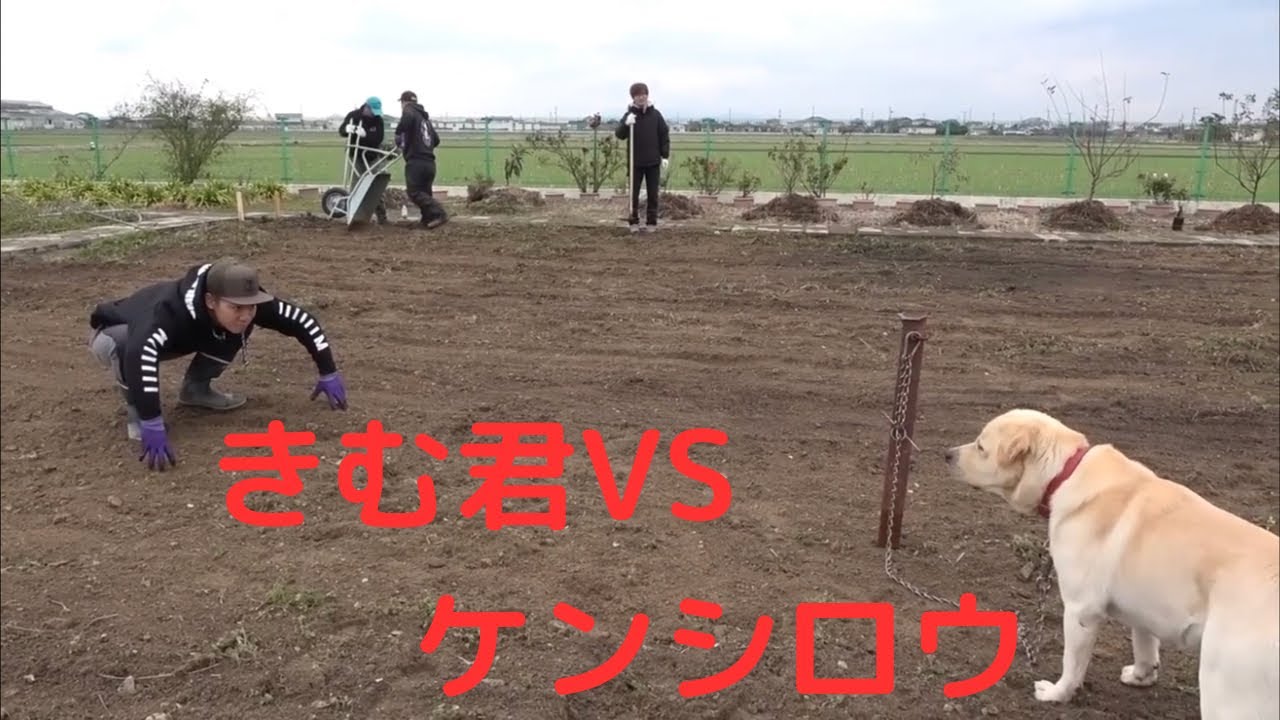 ケンシロウのドッグランを作る⁉︎