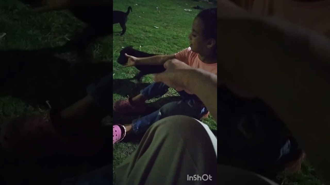 الكلاب تسجيب للأمر بكلمة 