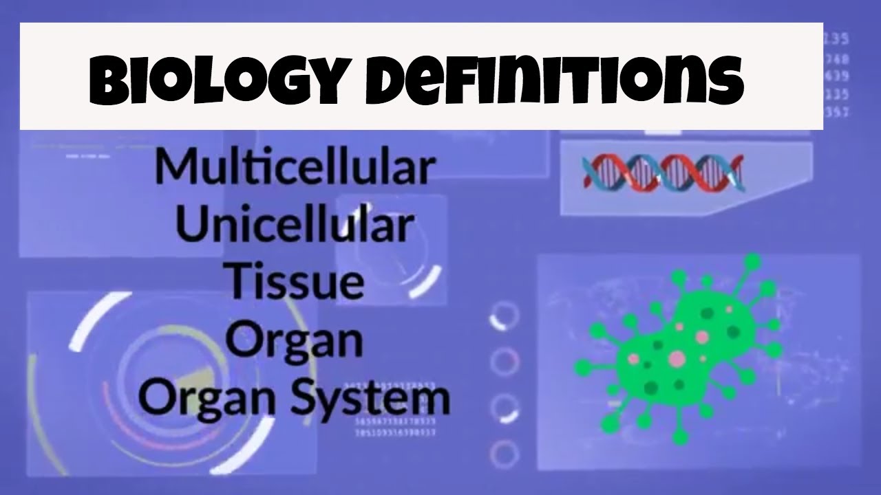 Biology Vocabulary (Unicellular,Multicellular,Tissue,Organ,Organ System)
