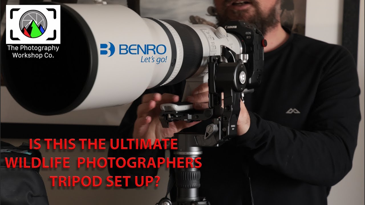 Benro GH2F folding gimbal - Is this the ultimate wildlife photography tripod set up?