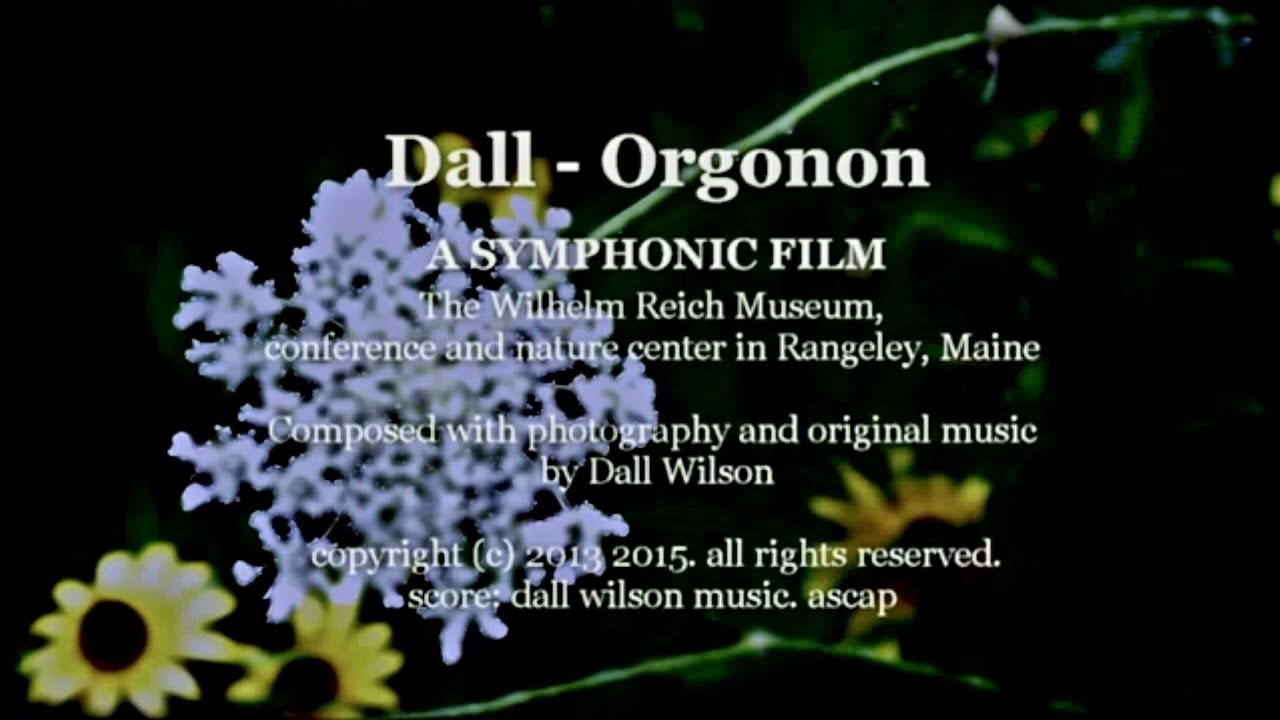 Dall - Wilhelm Reich's Orgonon, Rangeley: a Maine Symphonic Film