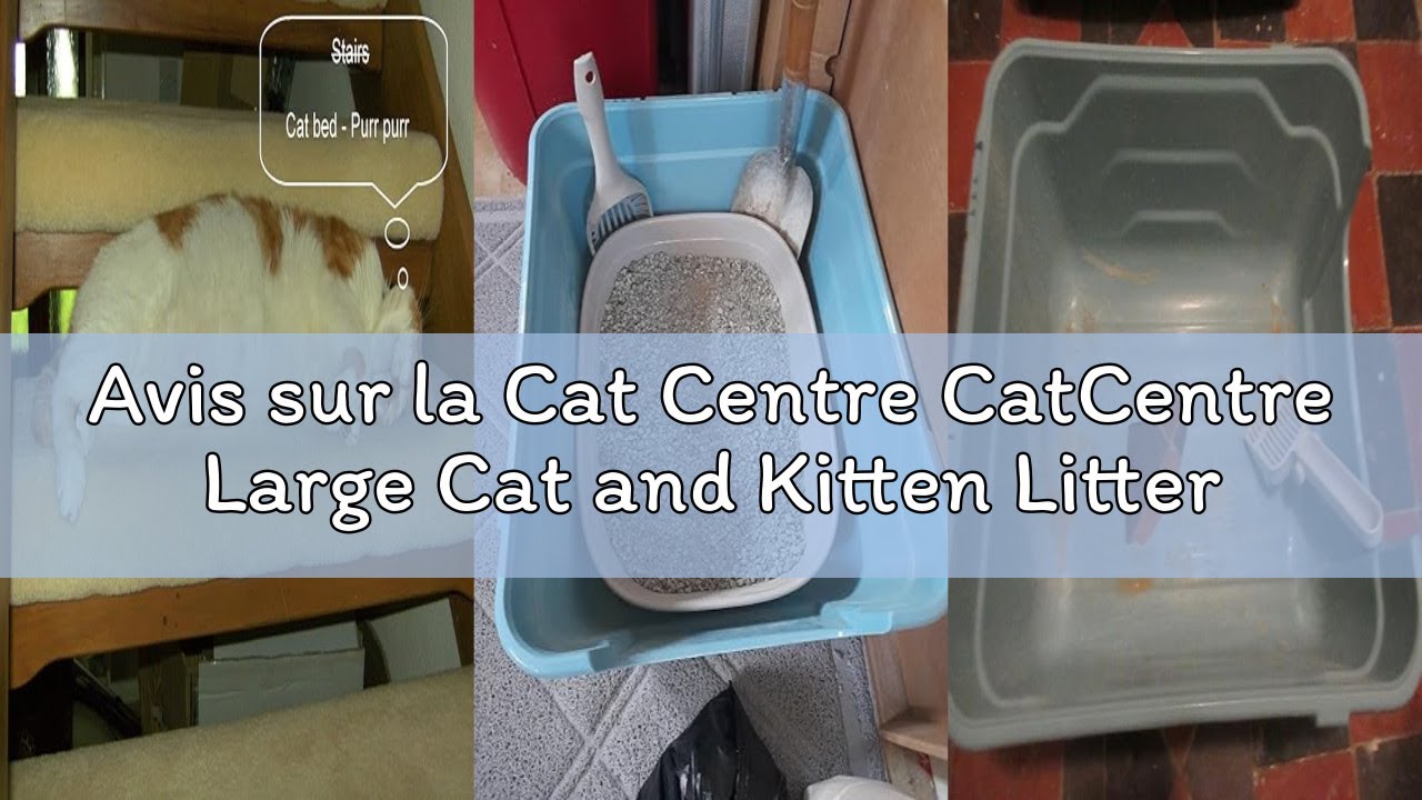 Avis sur la Cat Centre CatCentre Large Cat and Kitten Litter Tray