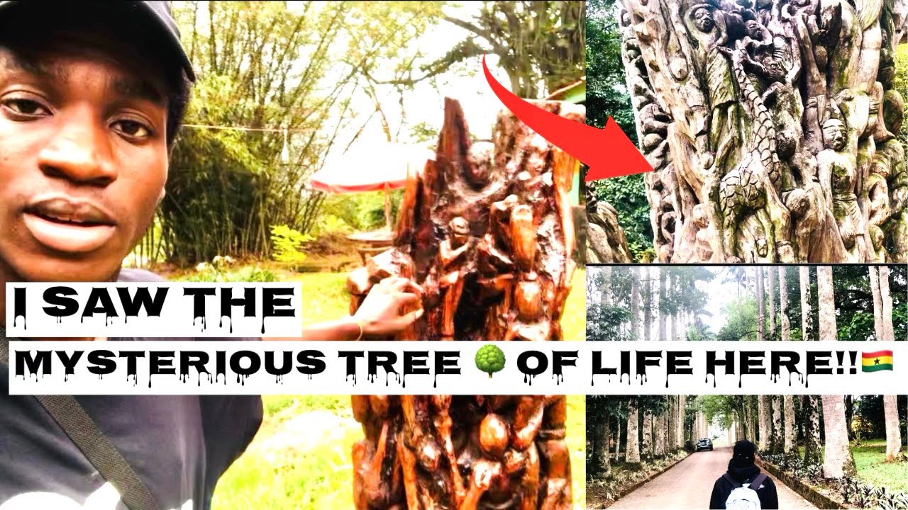 Some mysterious and hidden history about Aburi Botanical gardens that you haven’t discovered