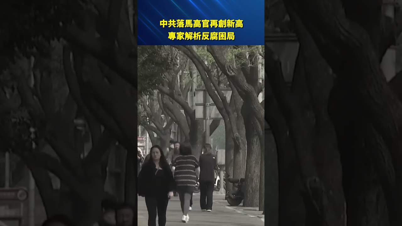 中共落馬高官數再創新高！反腐為何越反越多？專家拆解權力困局