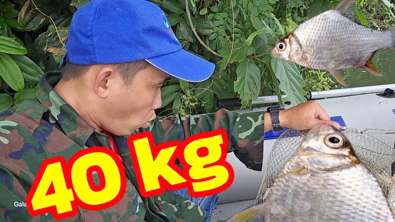 tập 4 . Bí kíp câu 40kg cá trong nửa ngày. kết quả thật bất ngờ