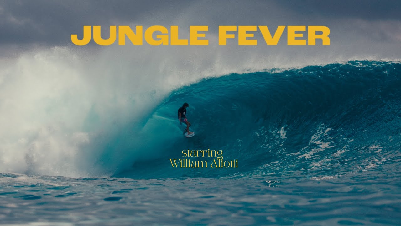 JUNGLE FEVER - WILLIAM ALIOTTI MENTAWAI