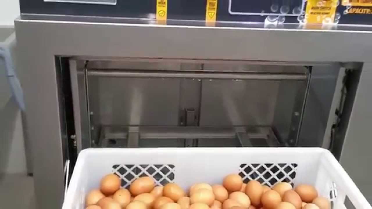 Bubble Egg Washer, Myjka bąblekowa OVO-TECH