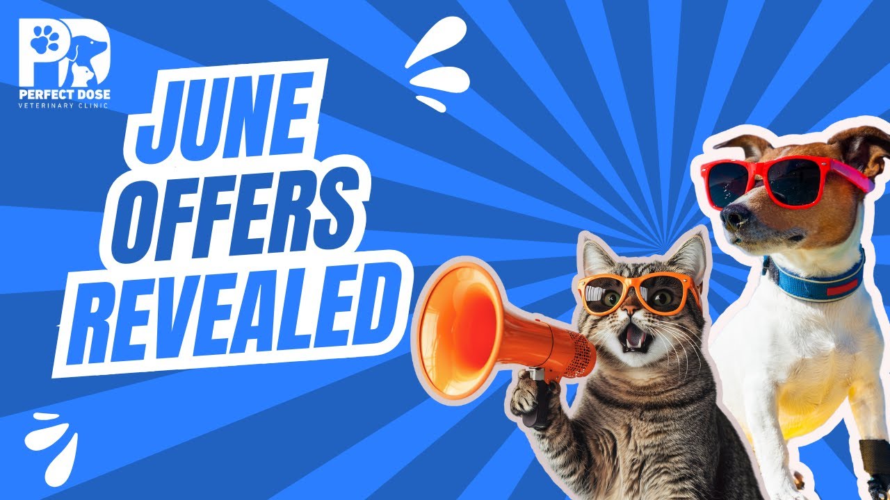 June Offers only at Perfect Dose, Dubai | Vets in Dubai | Dogs and Cats