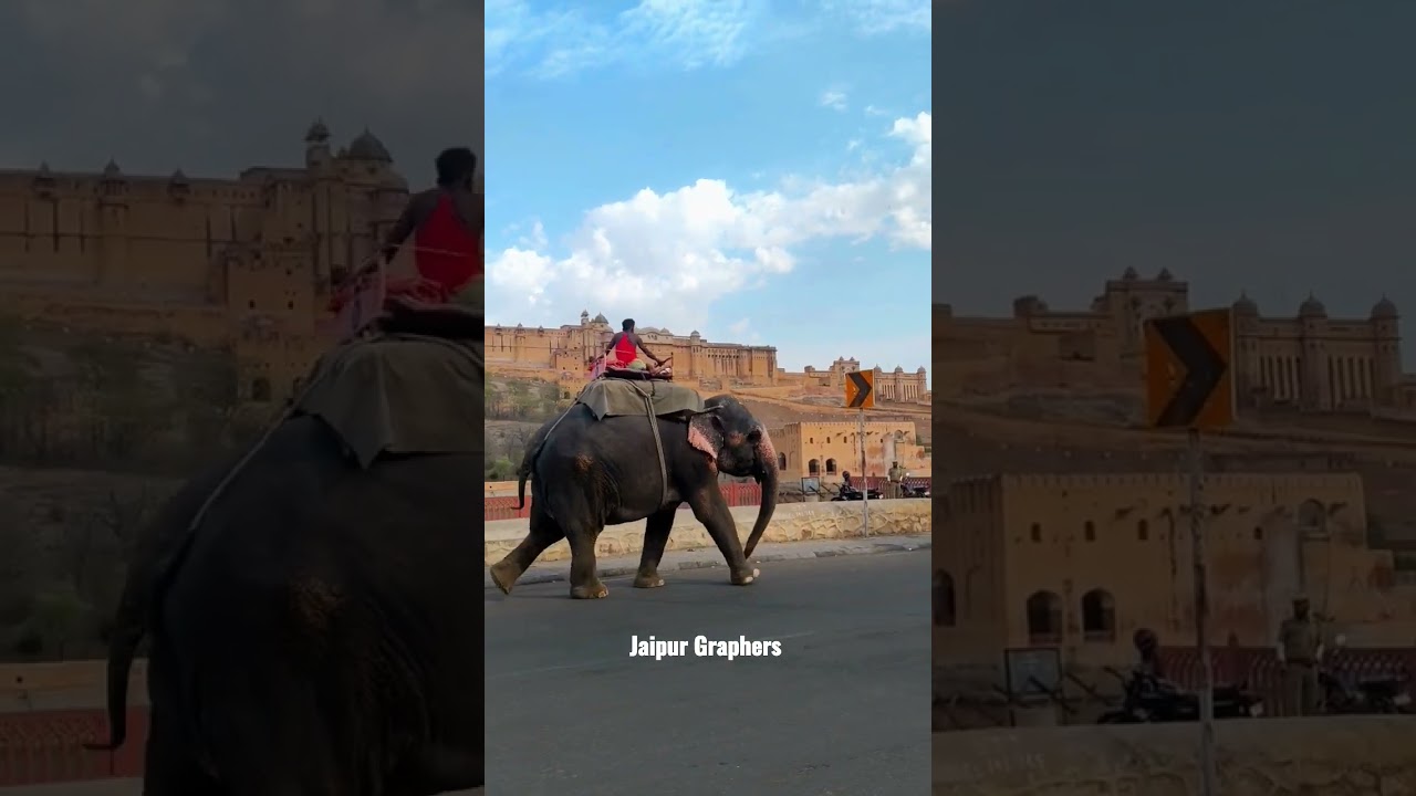 Amer Fort Elephant Ride | UNESCO WORLD HERITAGE SITE Amer Fort #jaipur #amerfort #amberfort