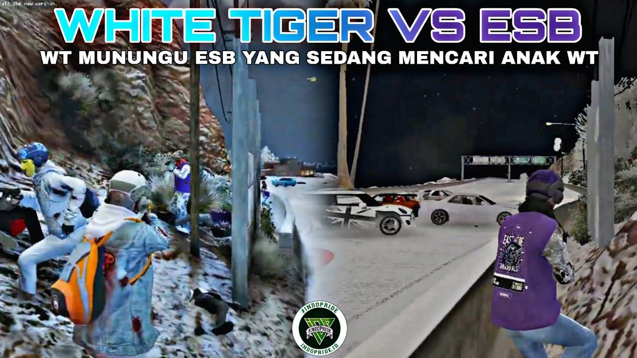 WHITE TIGER VS ESB | WT MENUNGGU ESB YANG SEDANG MENCARI ANAK WT | #indopriderp #wtgg #esb 