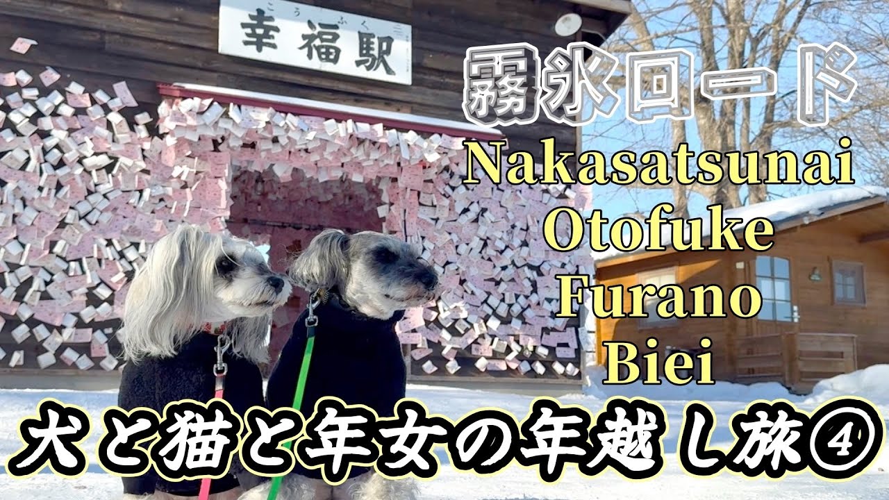 【年越し旅/北海道④】犬と猫とわたしの車旅〜我らの旅、王道幸福ゆき🚃💨〜