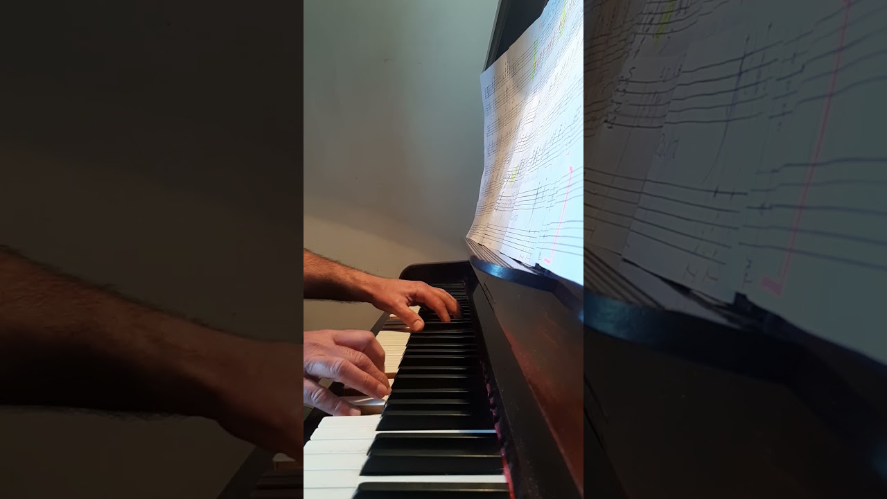 DER HOLLE RACHE KOCHT IN MEINEM HERZEN ( MOZART )