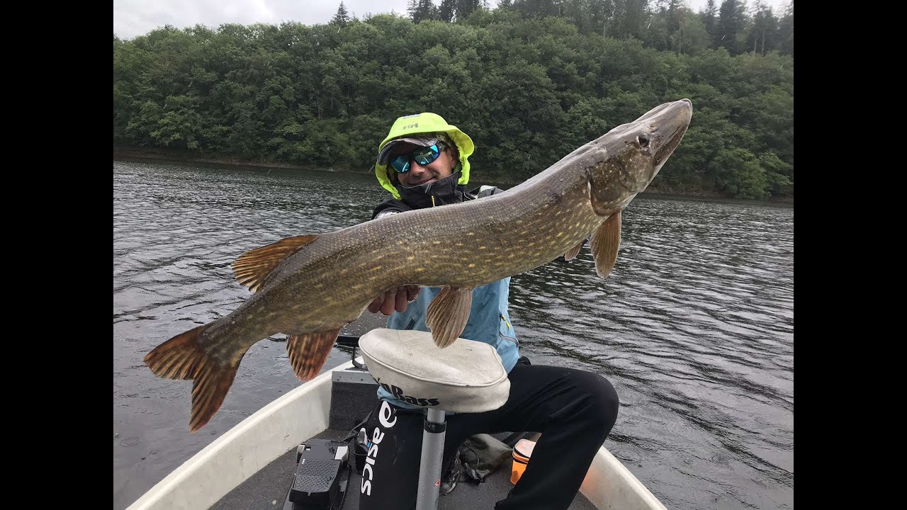 brochet de bordure en barrage