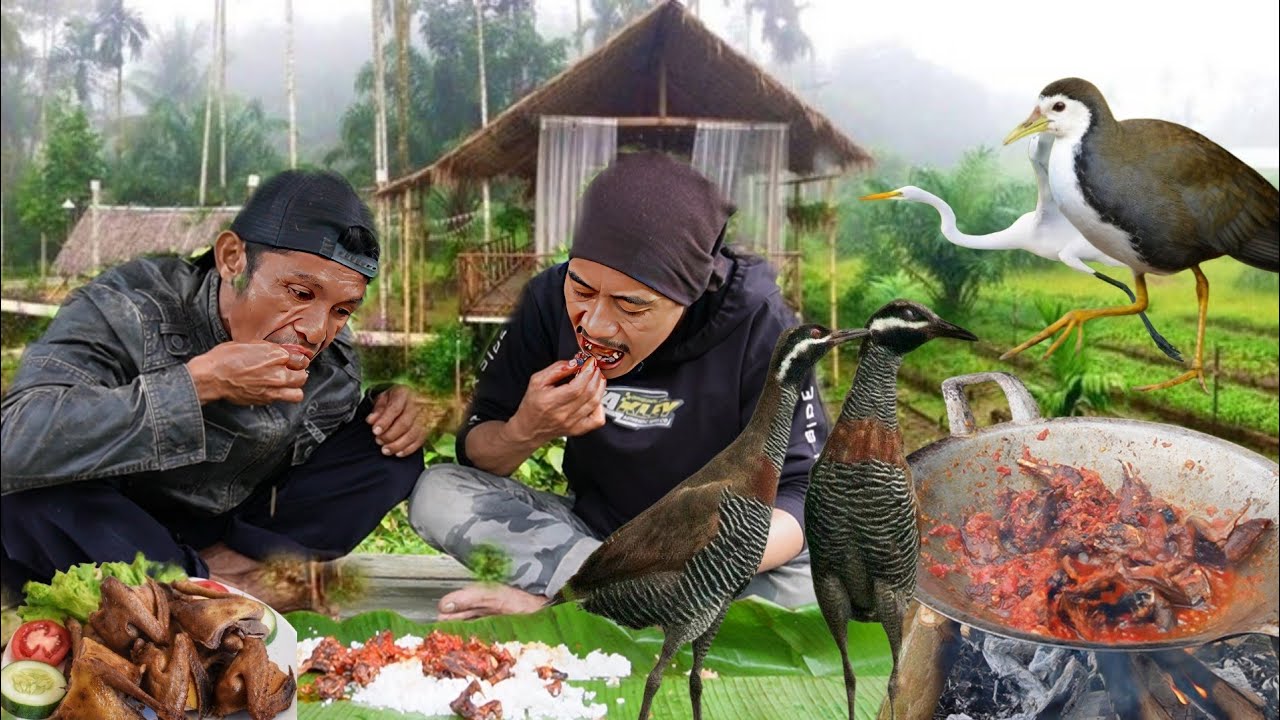 Berburu Burung Sawah di Alam Liar! Hasilnya Langsung Dimasak, Nikmat Banget!