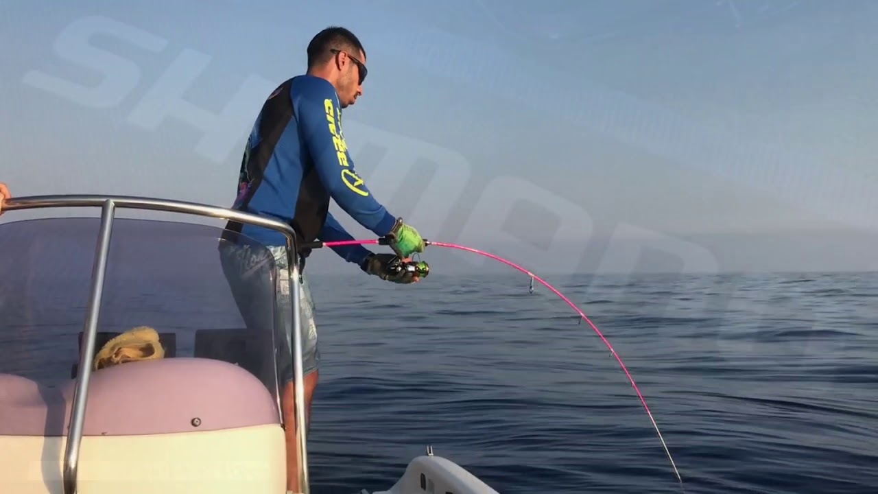 Shimano socorro sw6000 & prohunter kaido